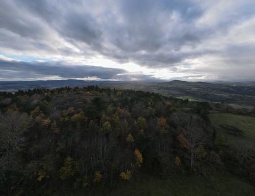 DJI_1873.JPG